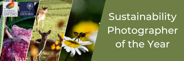 Montage of wildlife and nature photography.